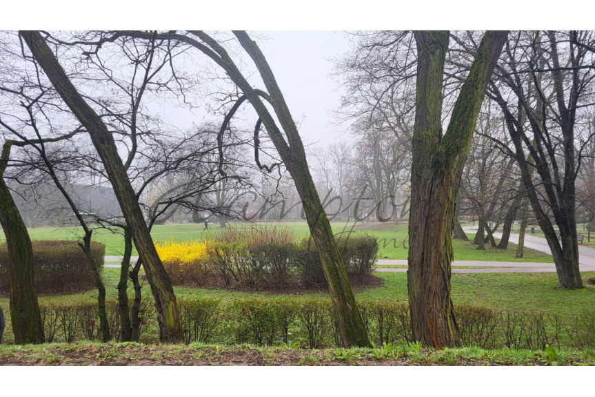 powiat grodziski, Grodzisk Mazowiecki, Gen. L. Okulickiego, Wynajmę 3pok apart, Grodzisk Maz, Park, Mediateka